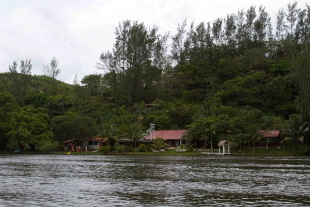 Lagos y manglaternera